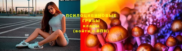 ПСИЛОЦИБИНОВЫЕ ГРИБЫ Баксан