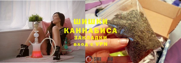 ПСИЛОЦИБИНОВЫЕ ГРИБЫ Баксан