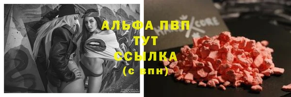 ПСИЛОЦИБИНОВЫЕ ГРИБЫ Баксан